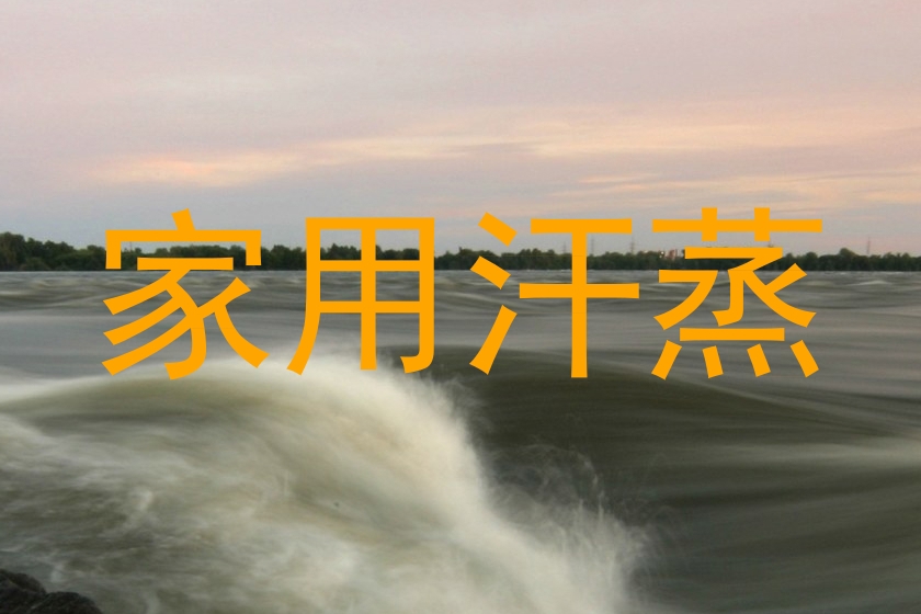 家用汗蒸