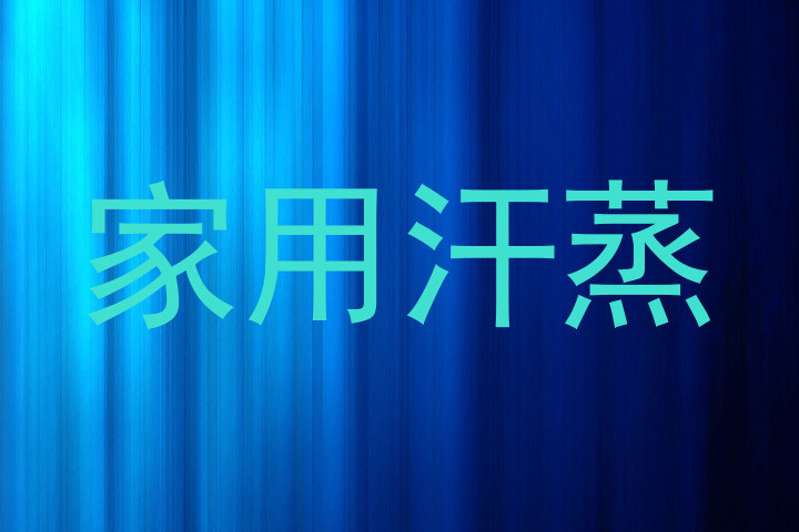 家用汗蒸
