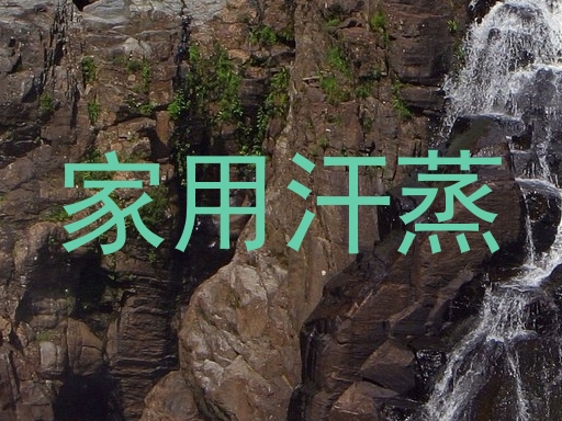 家用汗蒸