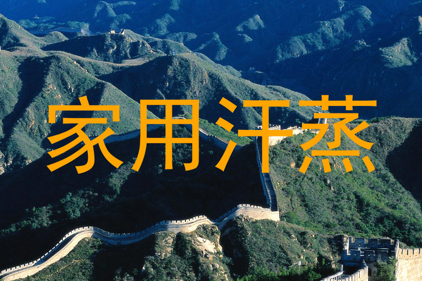 家用汗蒸