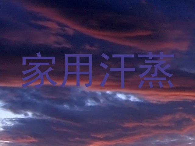 家用汗蒸
