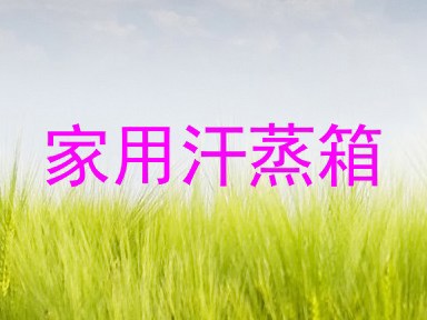 家用汗蒸箱