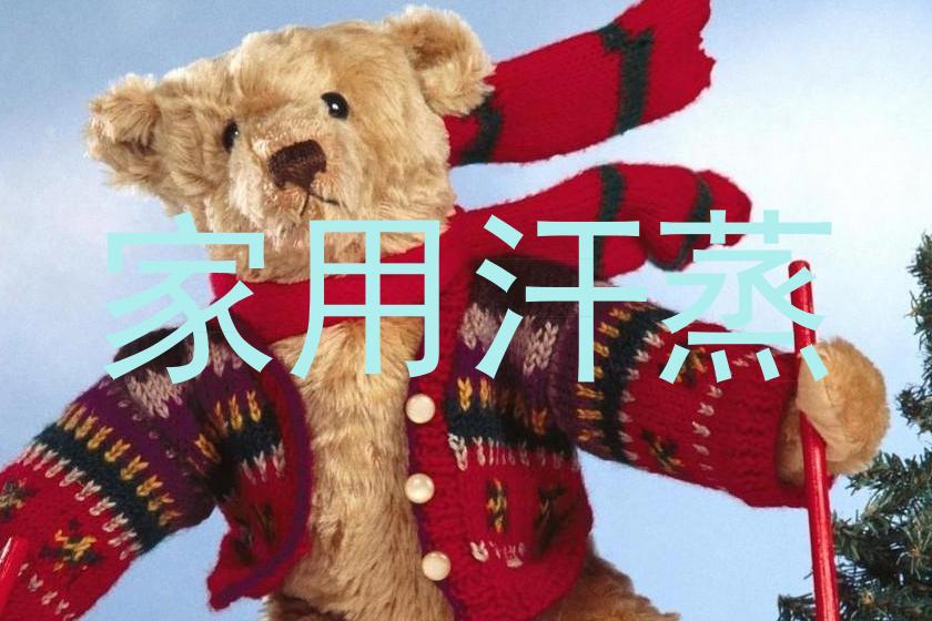 家用汗蒸