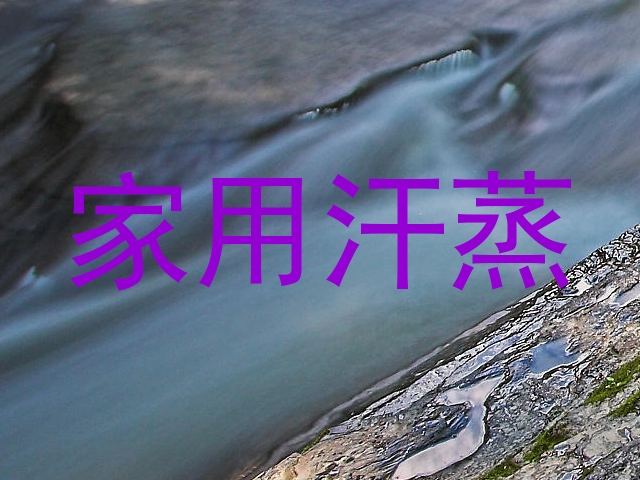 家用汗蒸