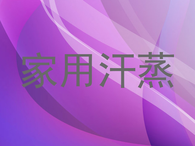 家用汗蒸
