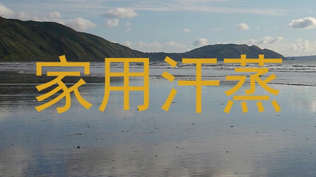 家用汗蒸
