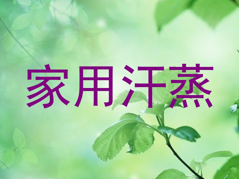 家用汗蒸