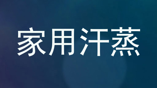 家用汗蒸