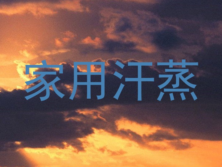 家用汗蒸