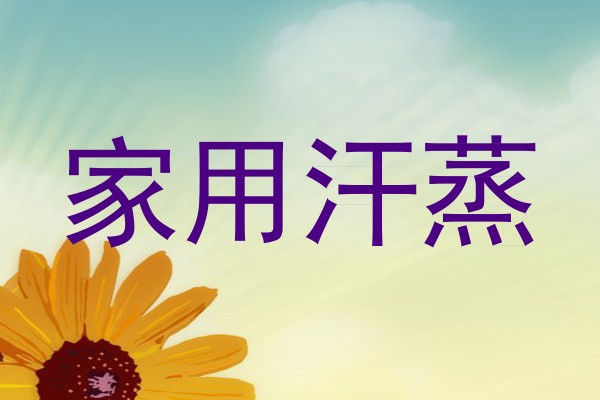 家用汗蒸