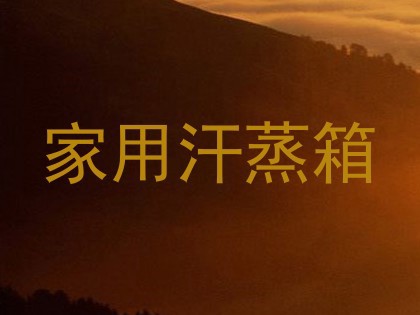 家用汗蒸箱