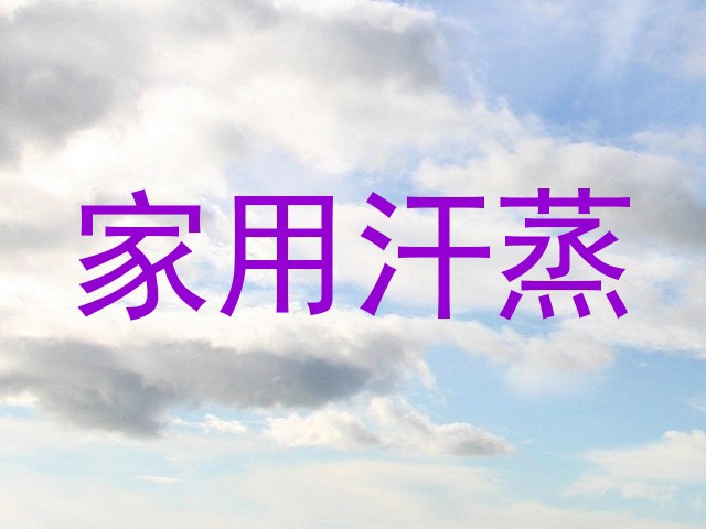 家用汗蒸