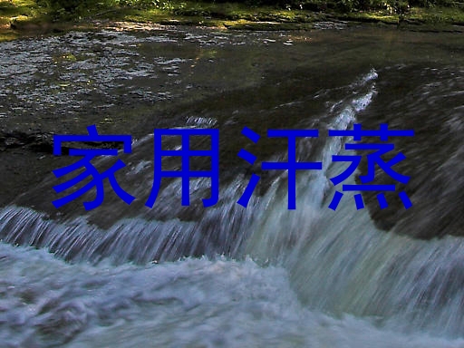 家用汗蒸