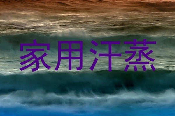 家用汗蒸