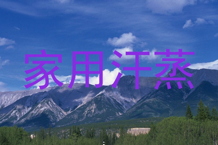 家用汗蒸