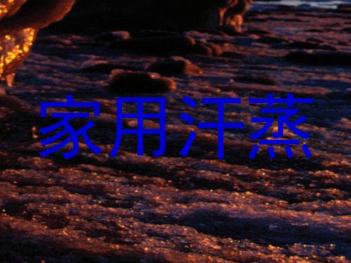 家用汗蒸