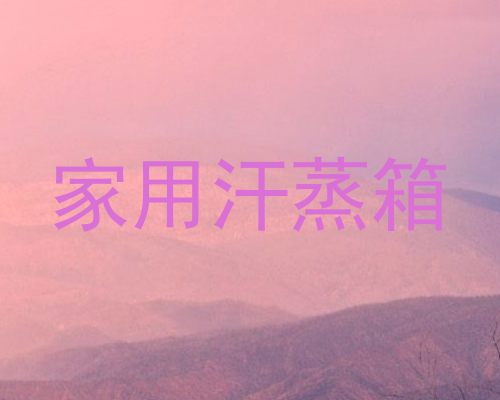 家用汗蒸箱