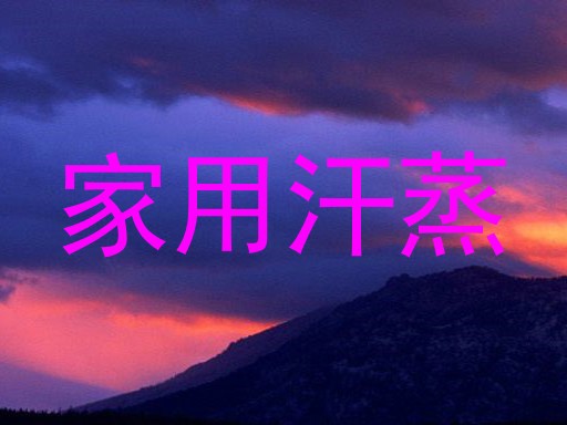 家用汗蒸