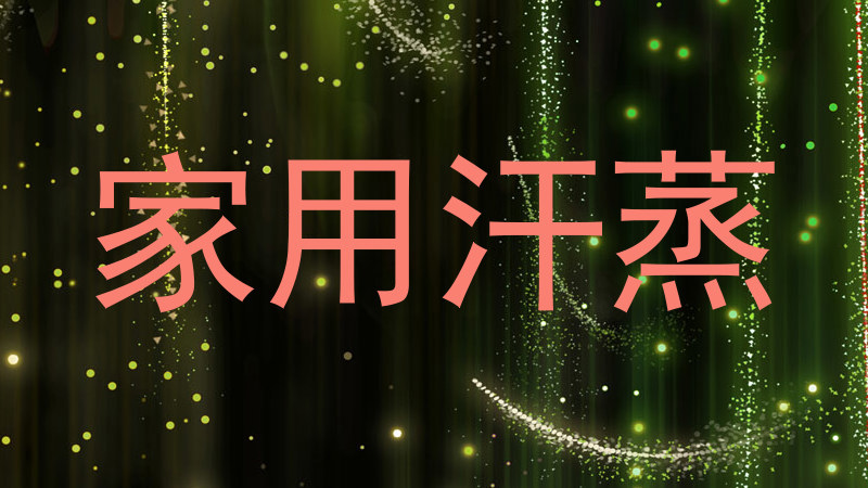家用汗蒸