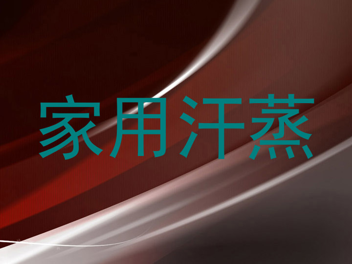家用汗蒸