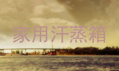 家用汗蒸箱
