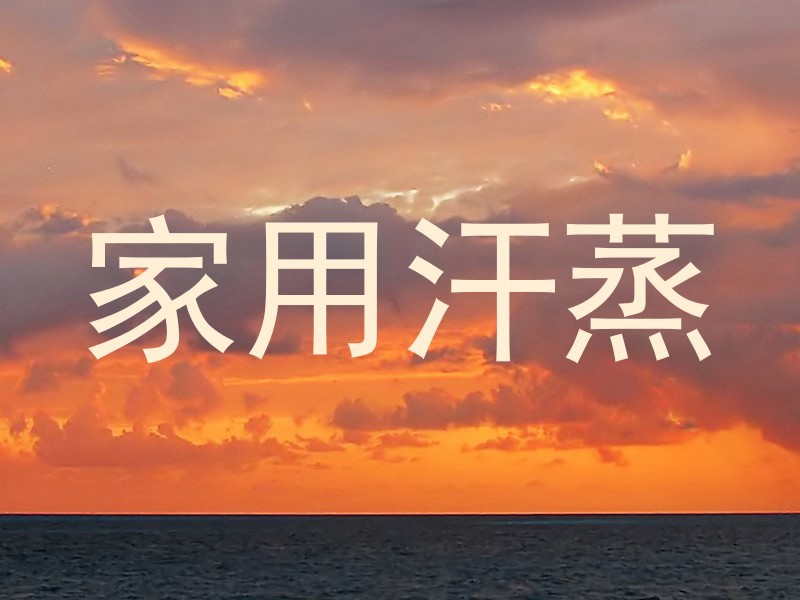 家用汗蒸
