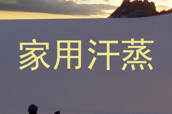 家用汗蒸