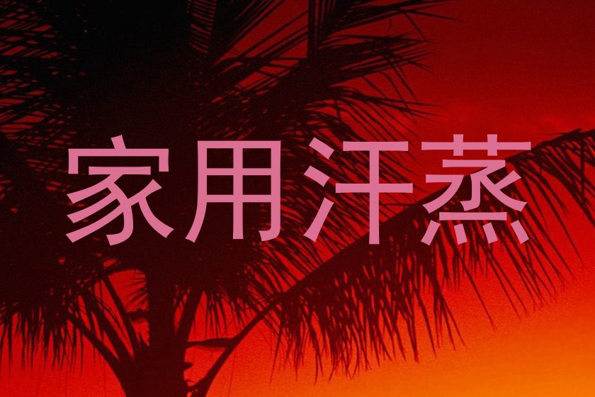 家用汗蒸