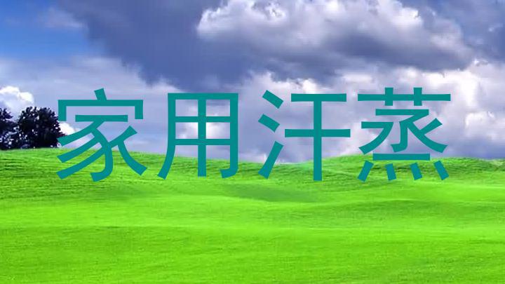 家用汗蒸