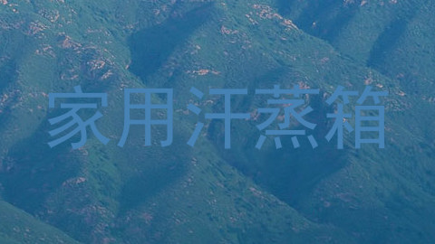 家用汗蒸箱