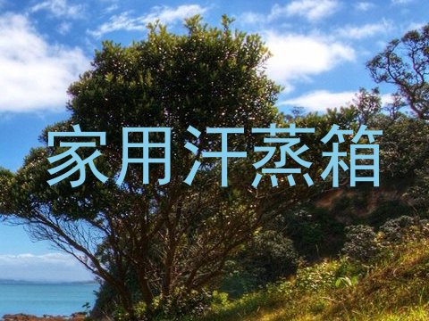 家用汗蒸箱