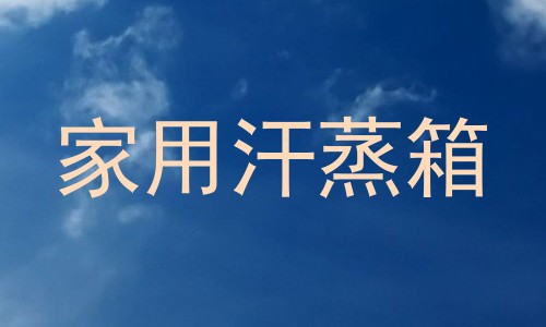 家用汗蒸箱