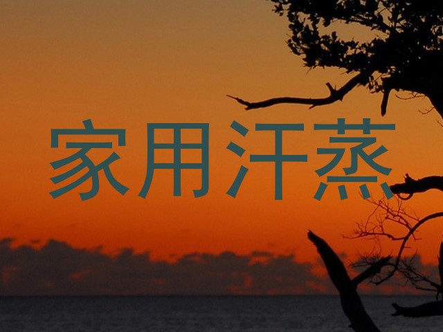 家用汗蒸