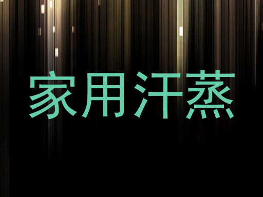 家用汗蒸
