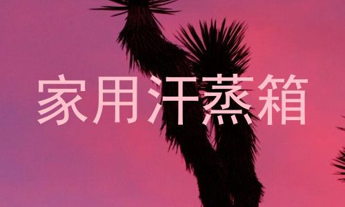 家用汗蒸箱