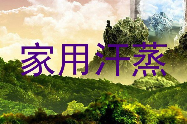 家用汗蒸