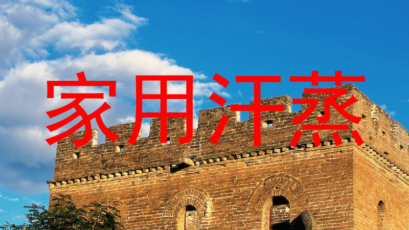 家用汗蒸