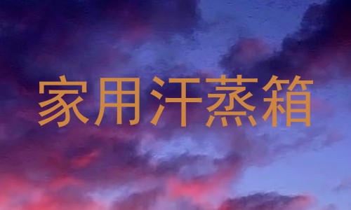 家用汗蒸箱