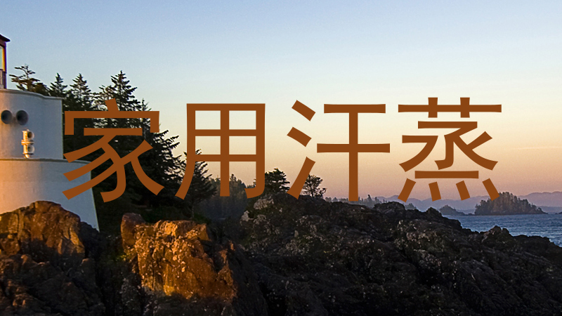 家用汗蒸