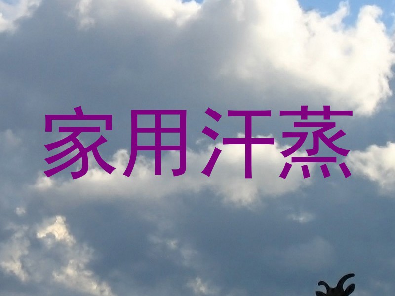 家用汗蒸