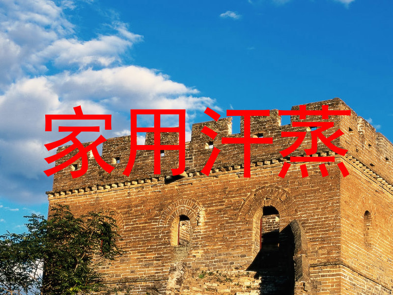 家用汗蒸