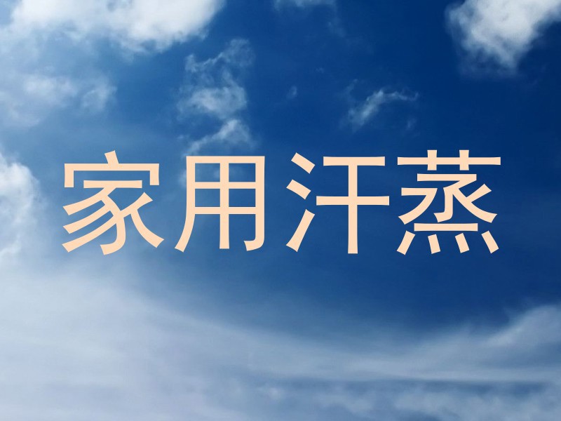 家用汗蒸