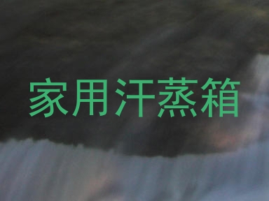 家用汗蒸箱