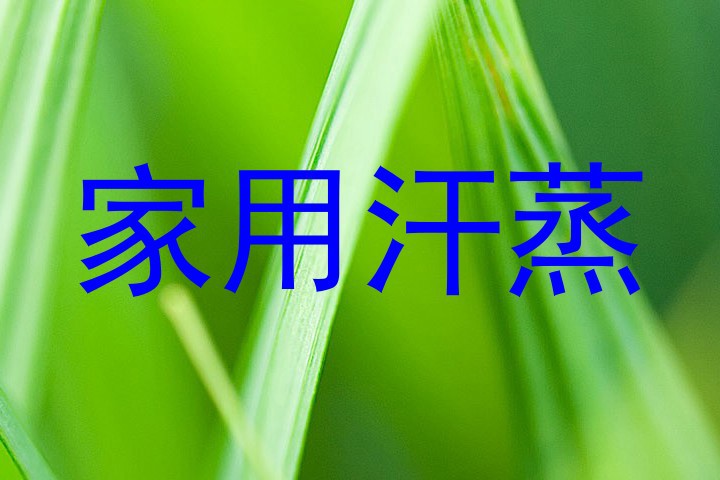 家用汗蒸