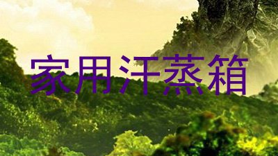 家用汗蒸箱