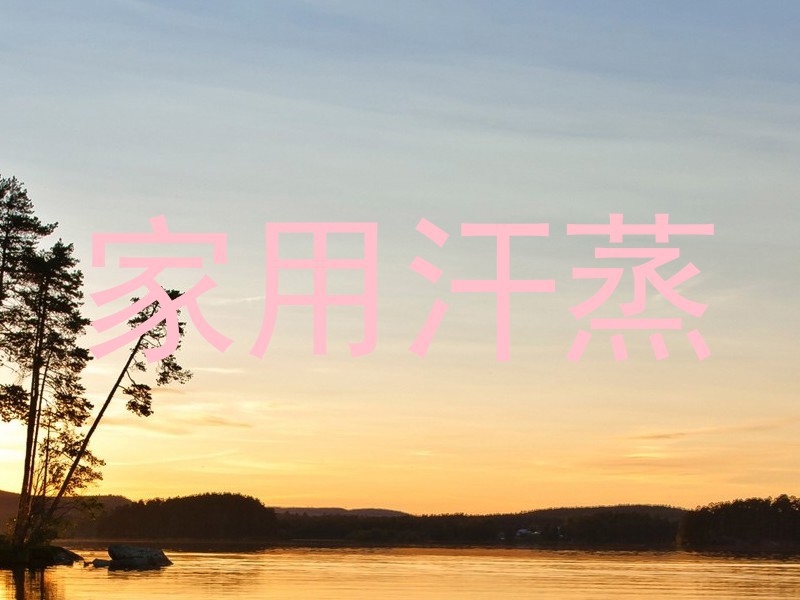 家用汗蒸