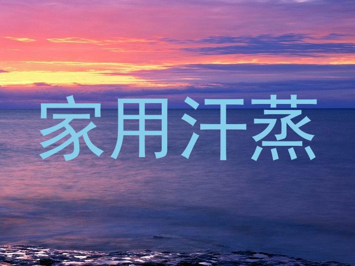 家用汗蒸