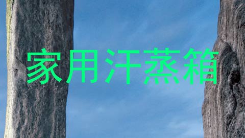 家用汗蒸箱
