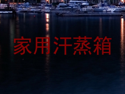 家用汗蒸箱