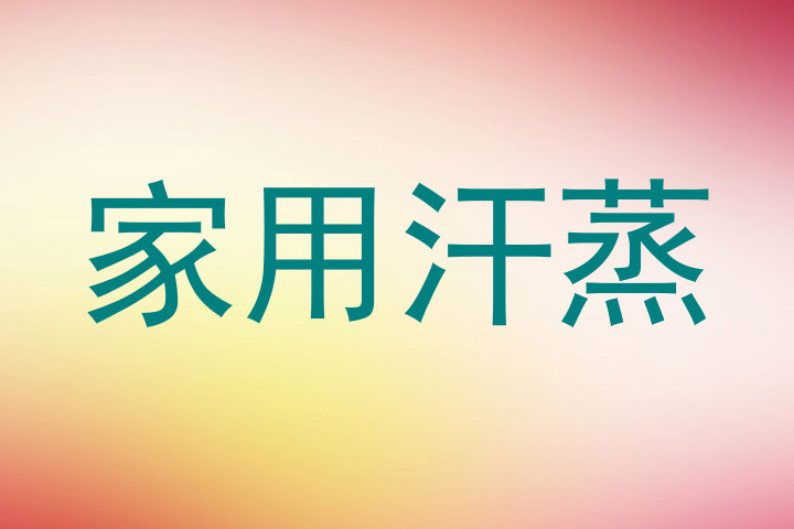 家用汗蒸